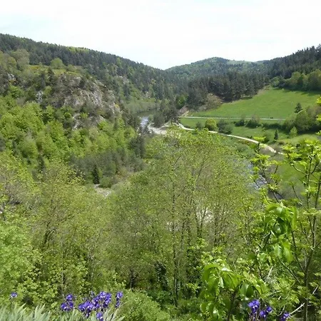 Ancien Presbytere Avec 3 Au Pied D'une Forteresse Medievale - Fr-1-582-113 度假居 Arlempdes